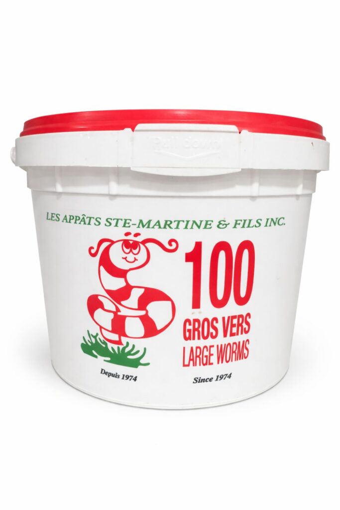 vers de terre gros - format 100