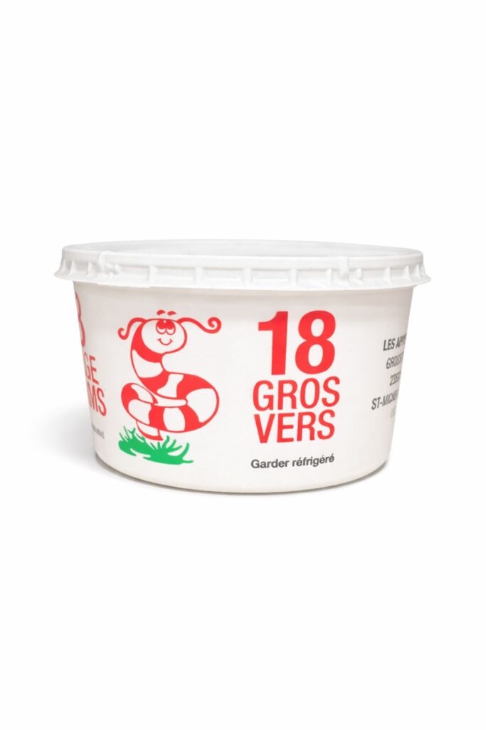 vers de terre gros - format 18