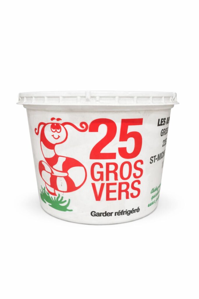 vers de terre gros - format 25