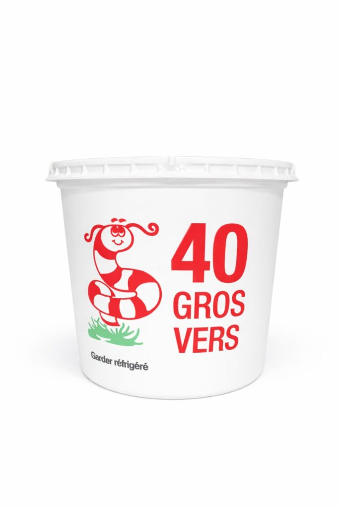vers de terre gros - format 40