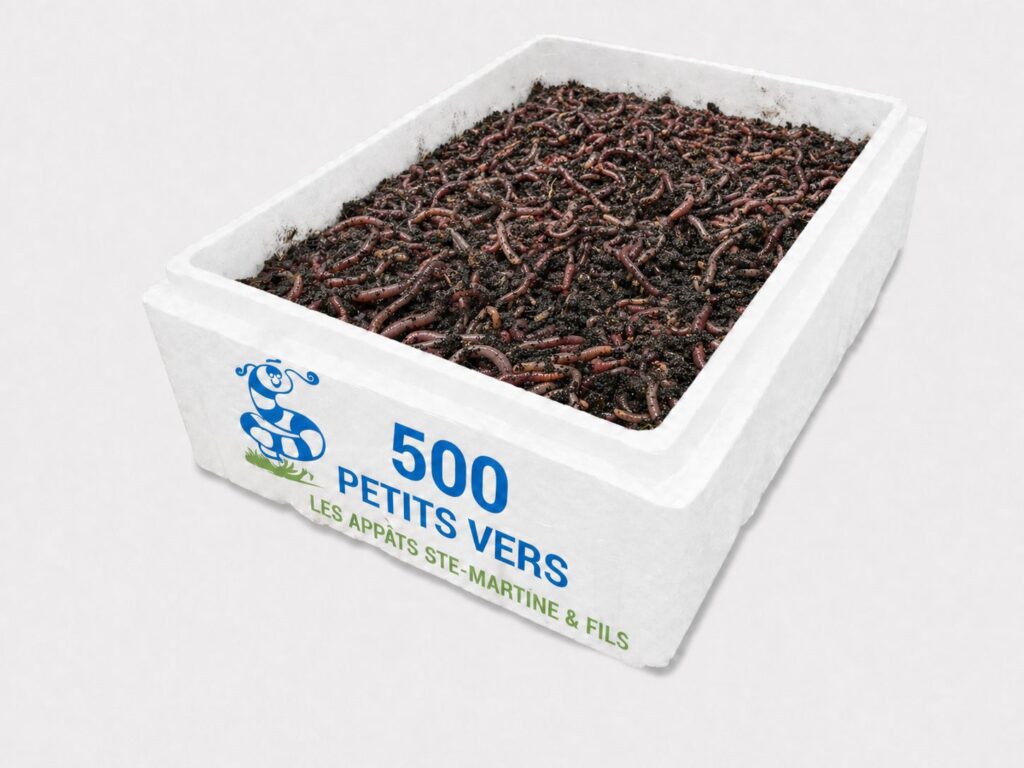 vers petits format 500